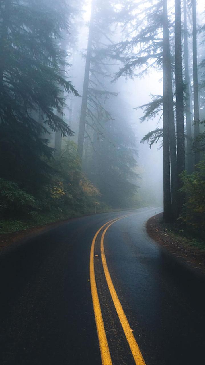 Dark Forest Road Wallpapers - Top Free Dark Forest Road Backgrounds ...