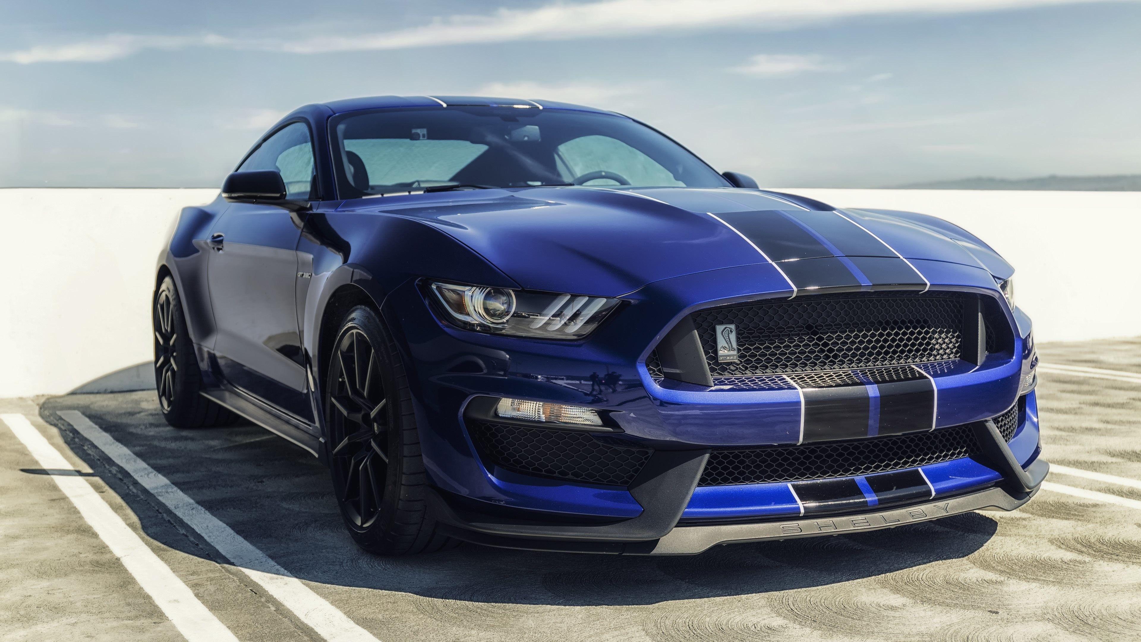 3840x2160 Mustang Black Car Wallpaper 4k Wallpaper Site