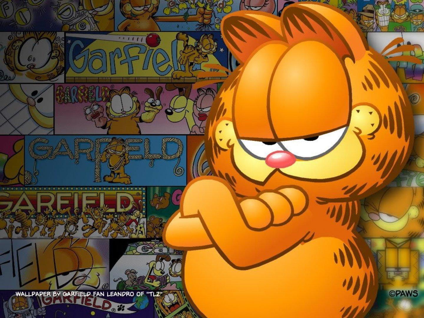 1440x1080 Garfield wallpaper HD for desktop background