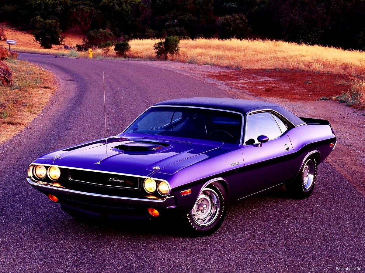 Classic Dodge Challenger Wallpapers - Top Free Classic Dodge Challenger ...