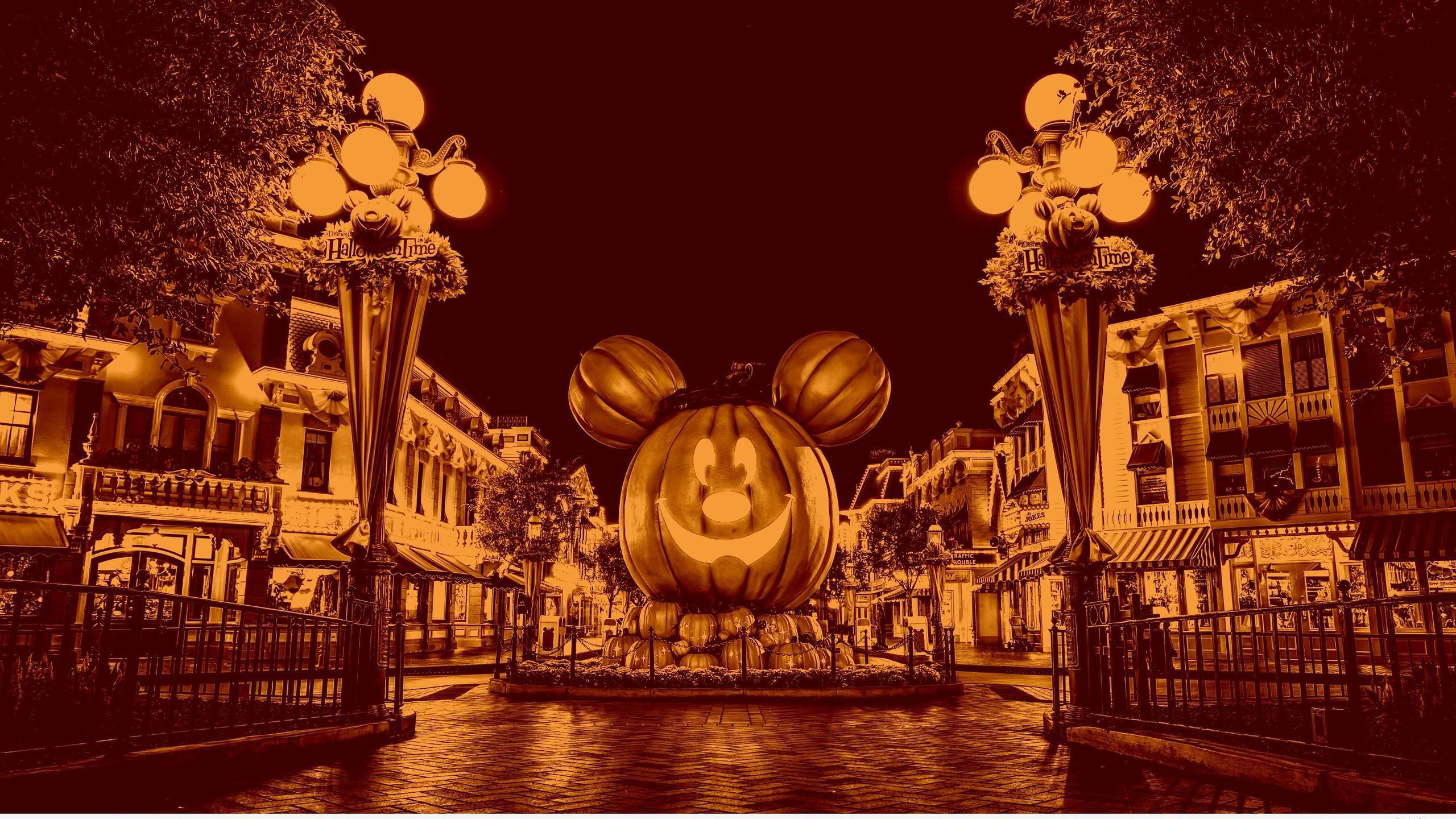 2560x1440 Big pumpkin in the city