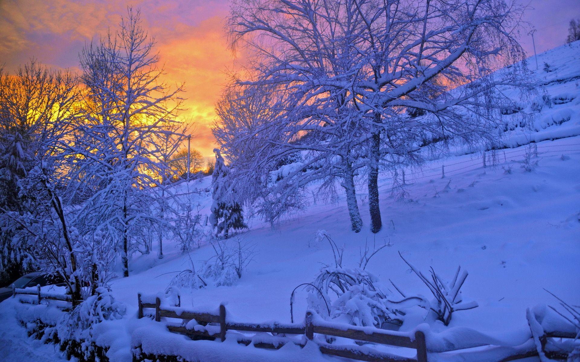 1920x1200 Winter Colors Wallpaper