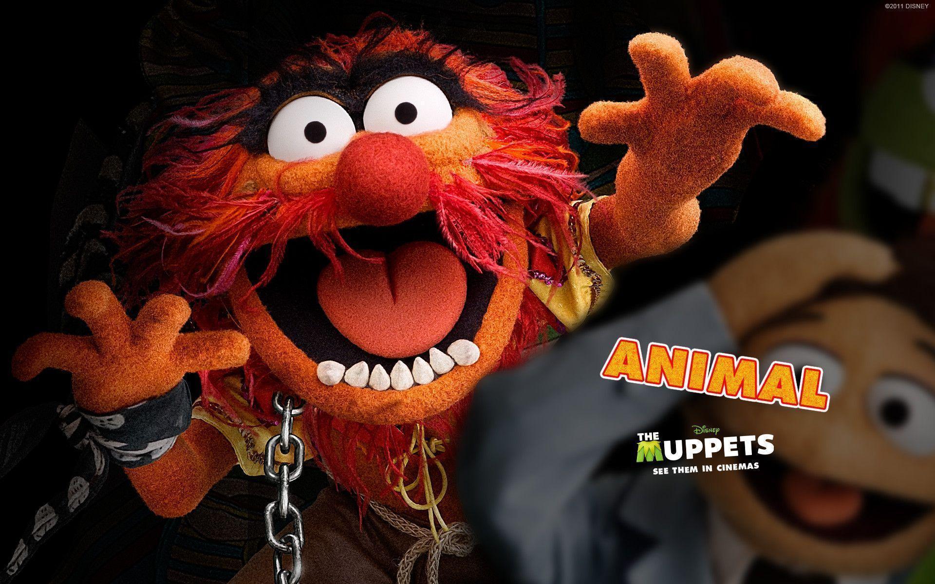 1920x1200 Muppets Wallpaper. Muppets Animal Wallpaper, Muppets From Space Wallpaper and The Muppets Wallpaper