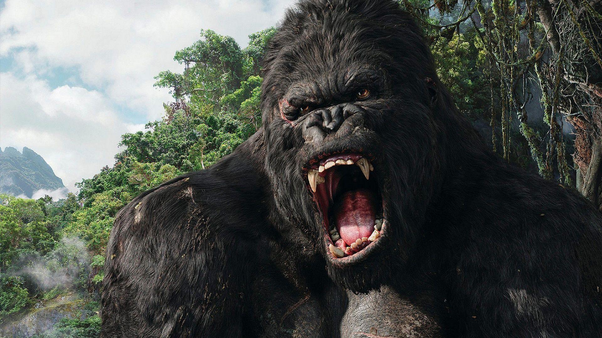1920x1080 King Kong Wallpaper HD