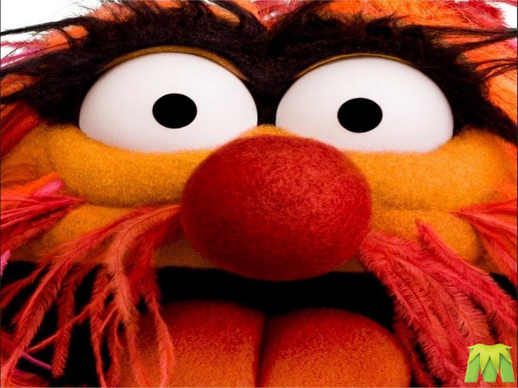 1024x768 Free download The Muppets [1024x768] for your Desktop, Mobile & Tablet. Explore Muppet Wallpaper. Miss Piggy Desktop Wallpaper, Muppets Animal Wallpaper, Beaker from Muppets Wallpaper