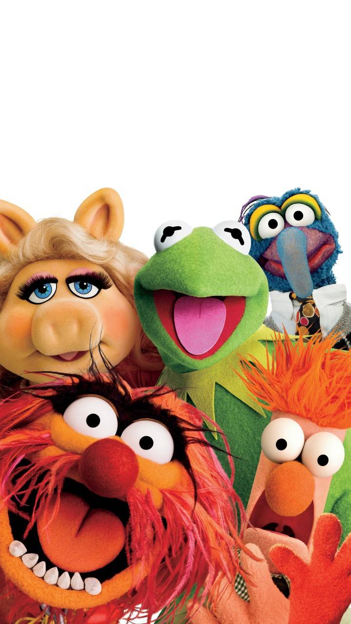 Animal Muppet Wallpapers - Top Free Animal Muppet Backgrounds ...