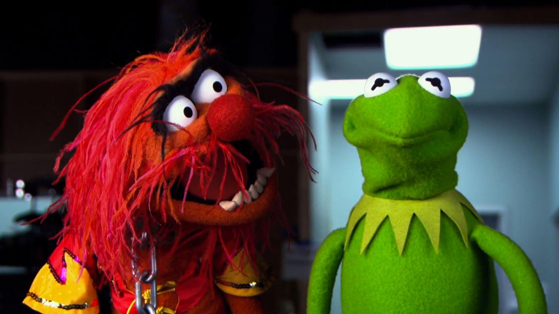 1920x1080 Muppet Wallpaper