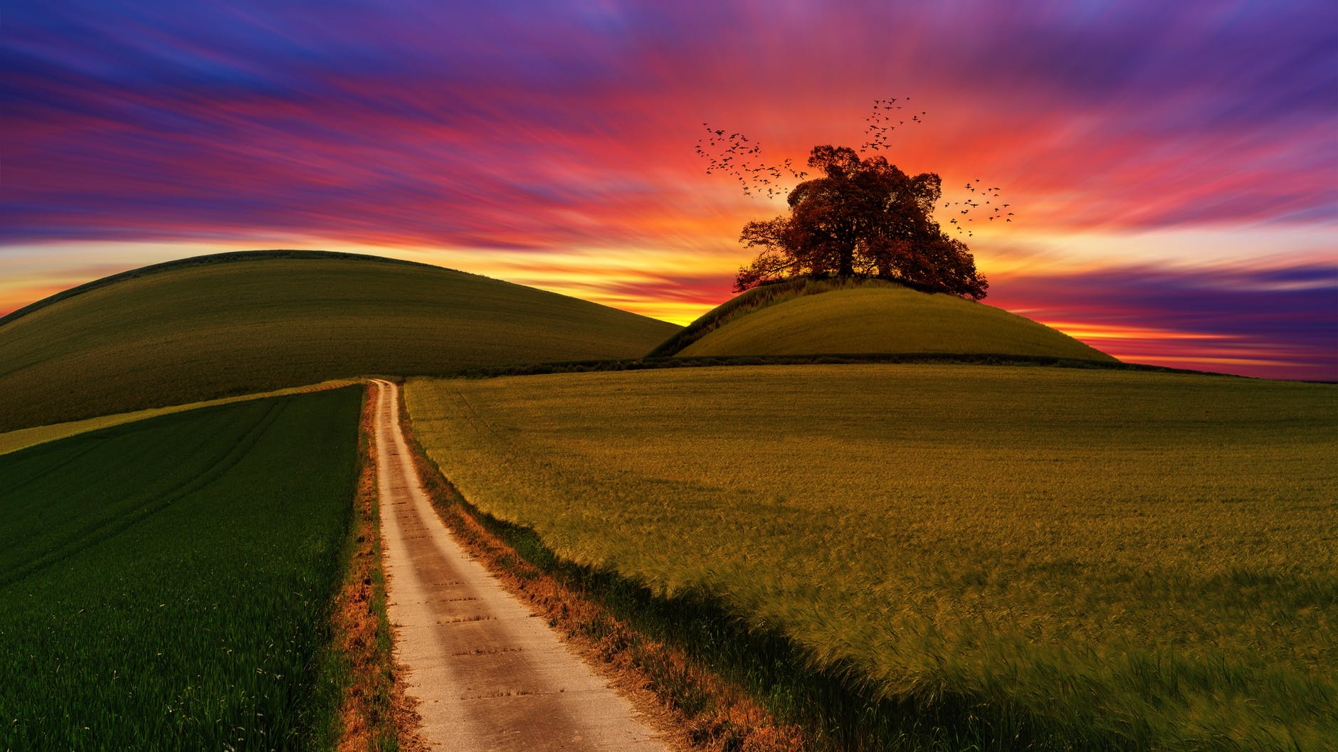1880x1057 Wallpaper Picture, Colourful Sky, Fields, Green, Hd, Nature, Path, Wallpaper