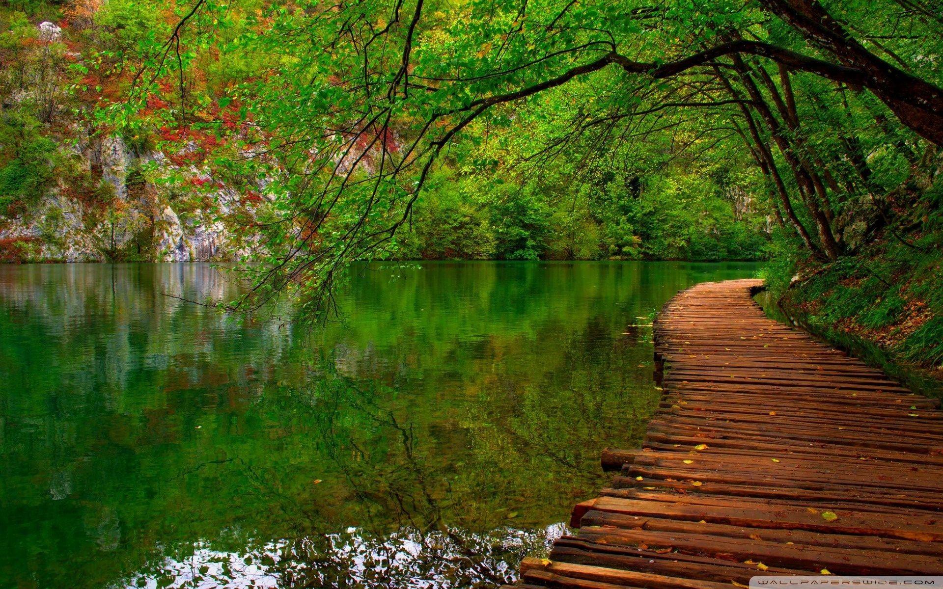 1920x1200 Nature Path 4k Wallpaper