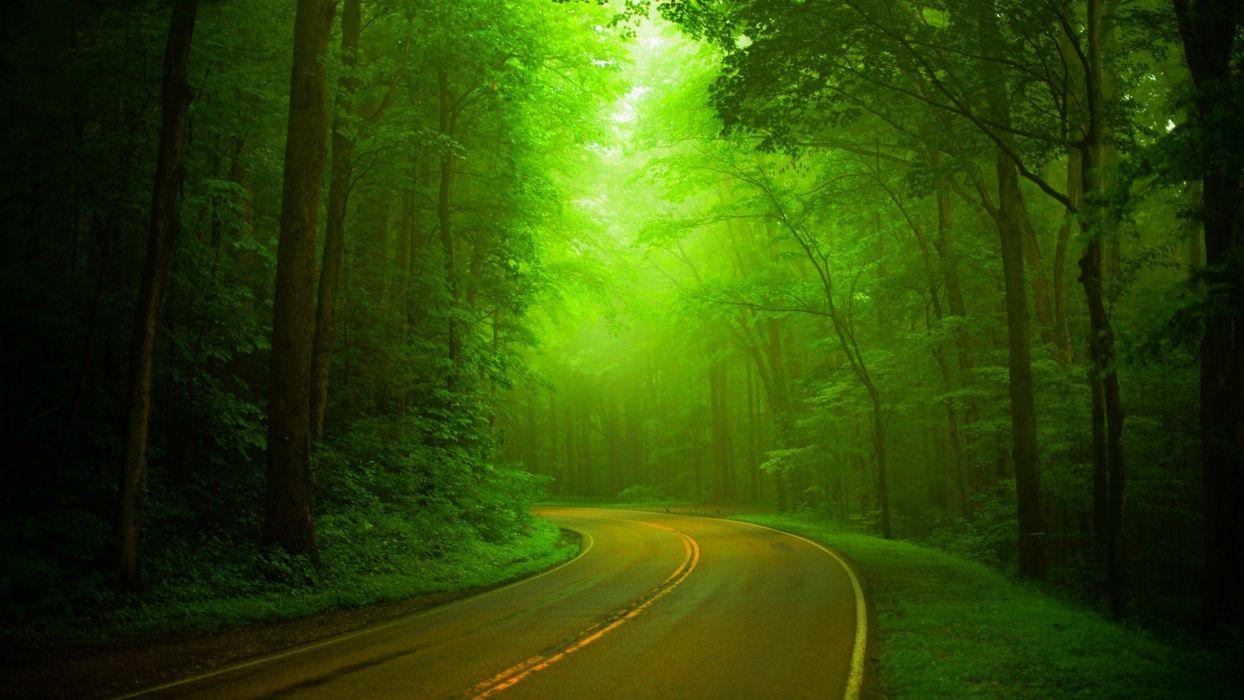 1244x700 Trees wal forest nature path splendor road green park spring woods wallpaperx1152
