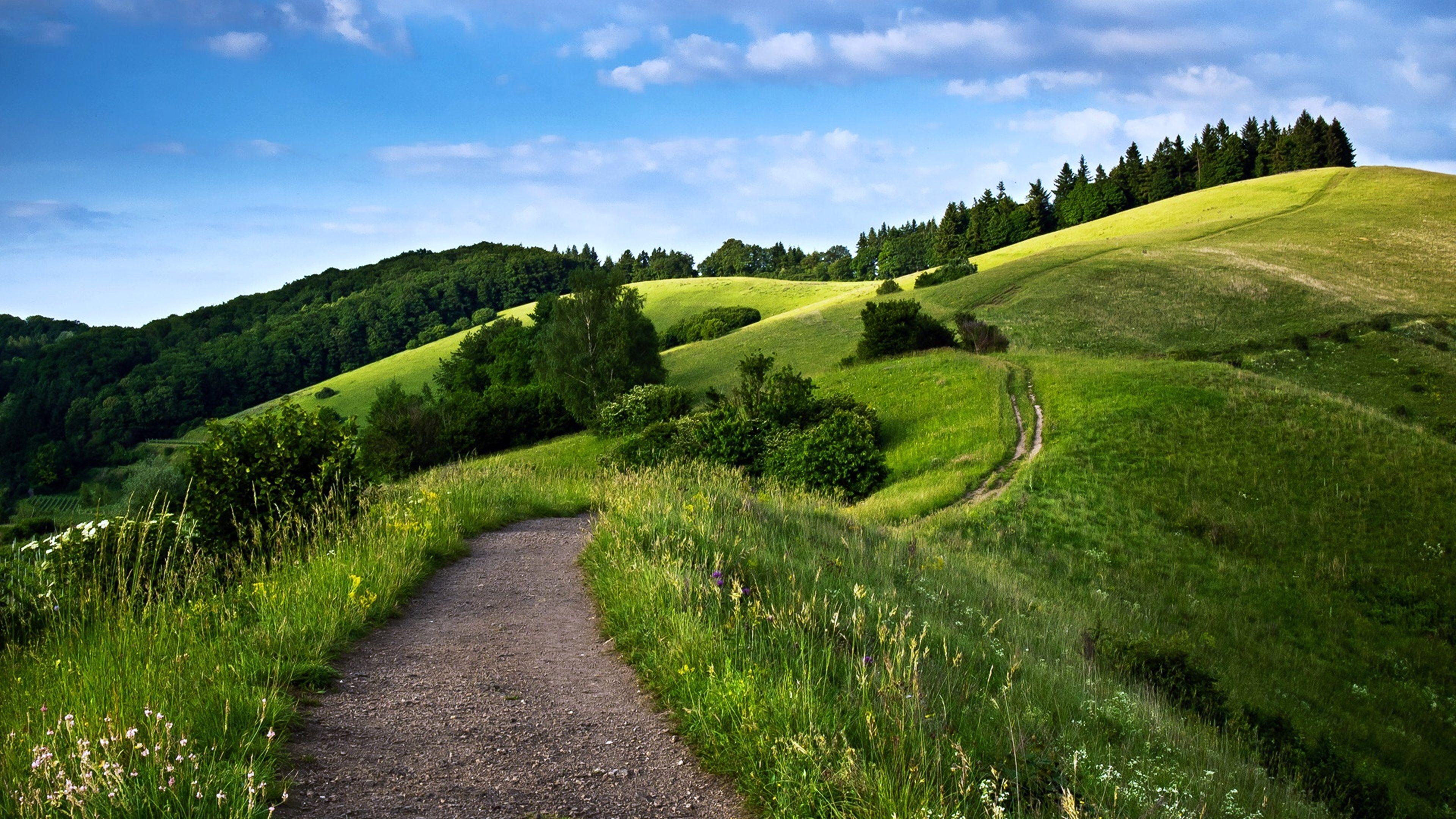 3840x2160 forest, green, hills, landscape, mountains, nature, path, sky, spring, trees, way. Nature. Tokkoro.com Amazing HD Wallpaper