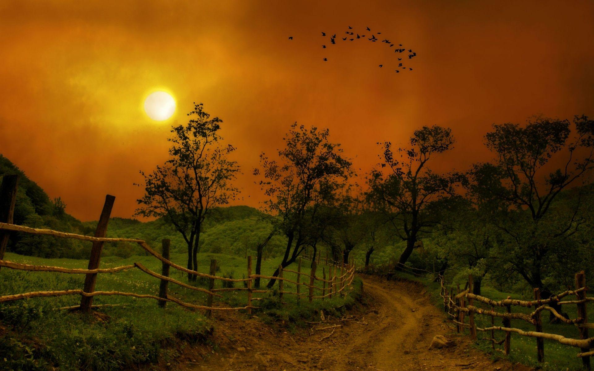 1920x1200 Trees Fences Nature Path Night wallpaper. Trees Fences Nature Path Night