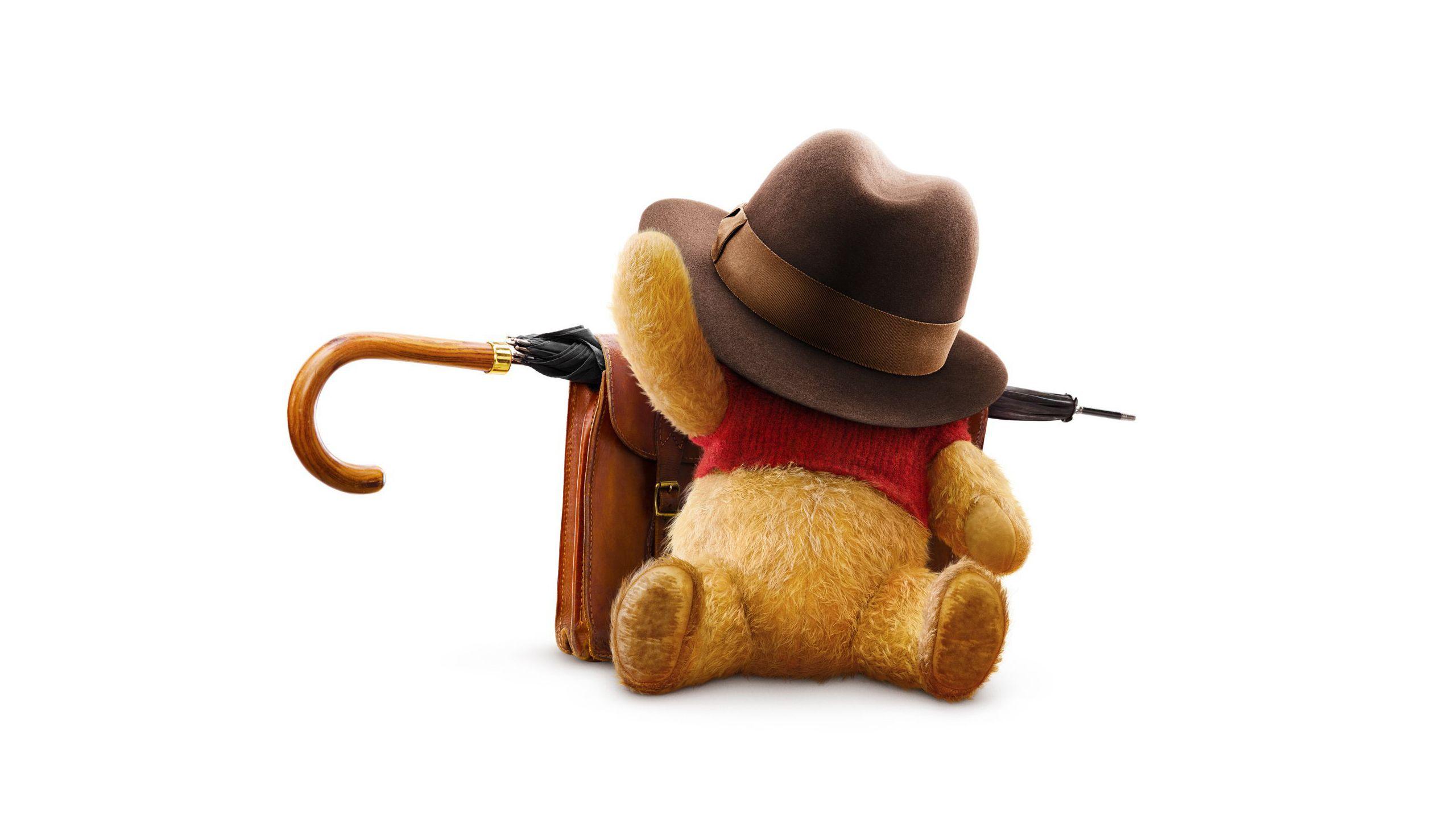2560x1440 Tigger Wallpaper HD Wallpaper
