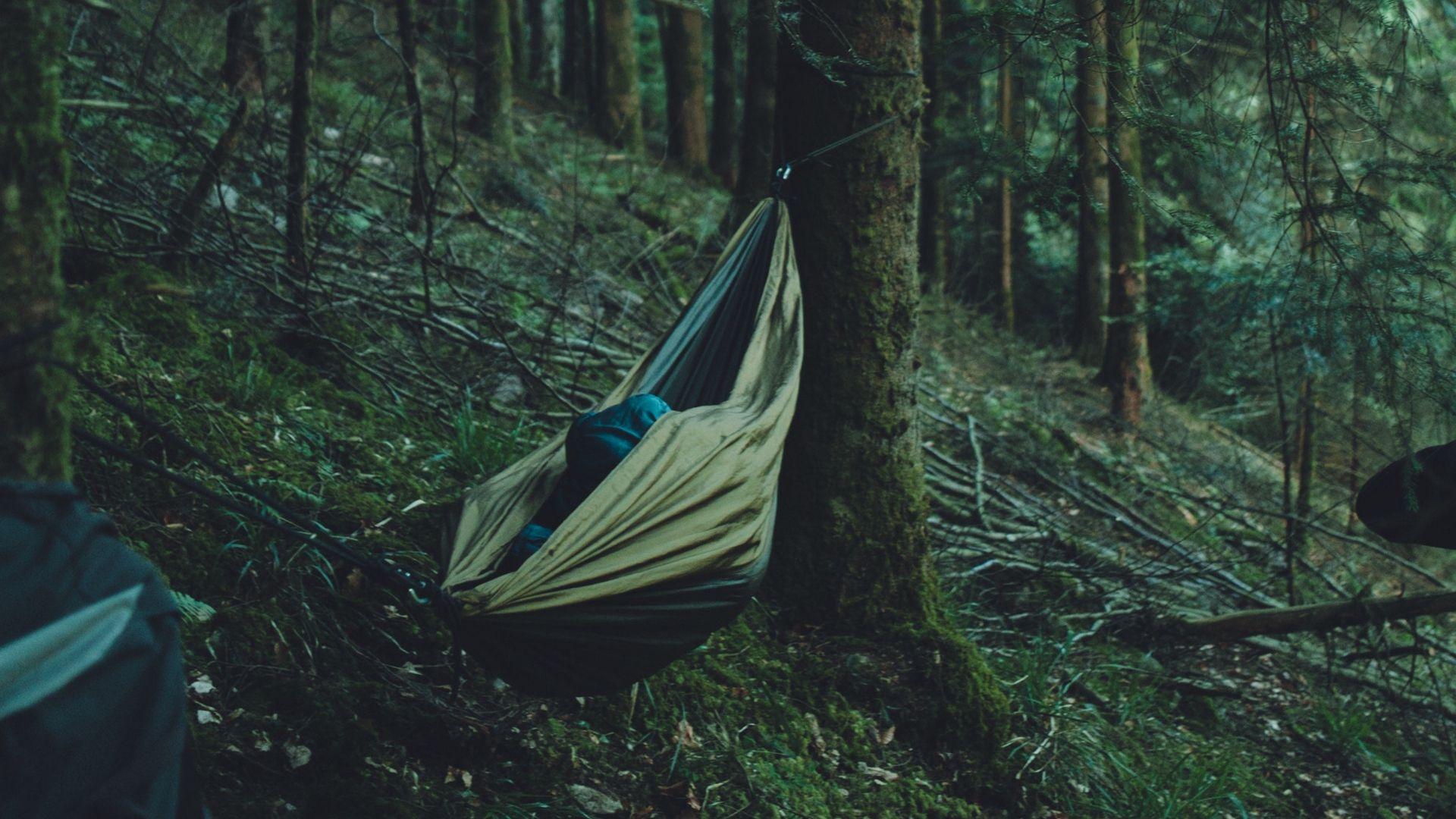 1920x1080 hammock forest trees HD Wallpaper. Find HD Wallpaper