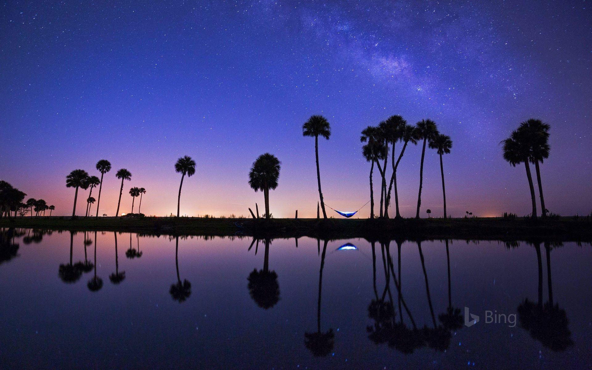1920x1200 Bing daily picture for July 23: Hammock camping on the Econlockhatchee River in Florida. Camping photography, Hammock camping, Fall camping