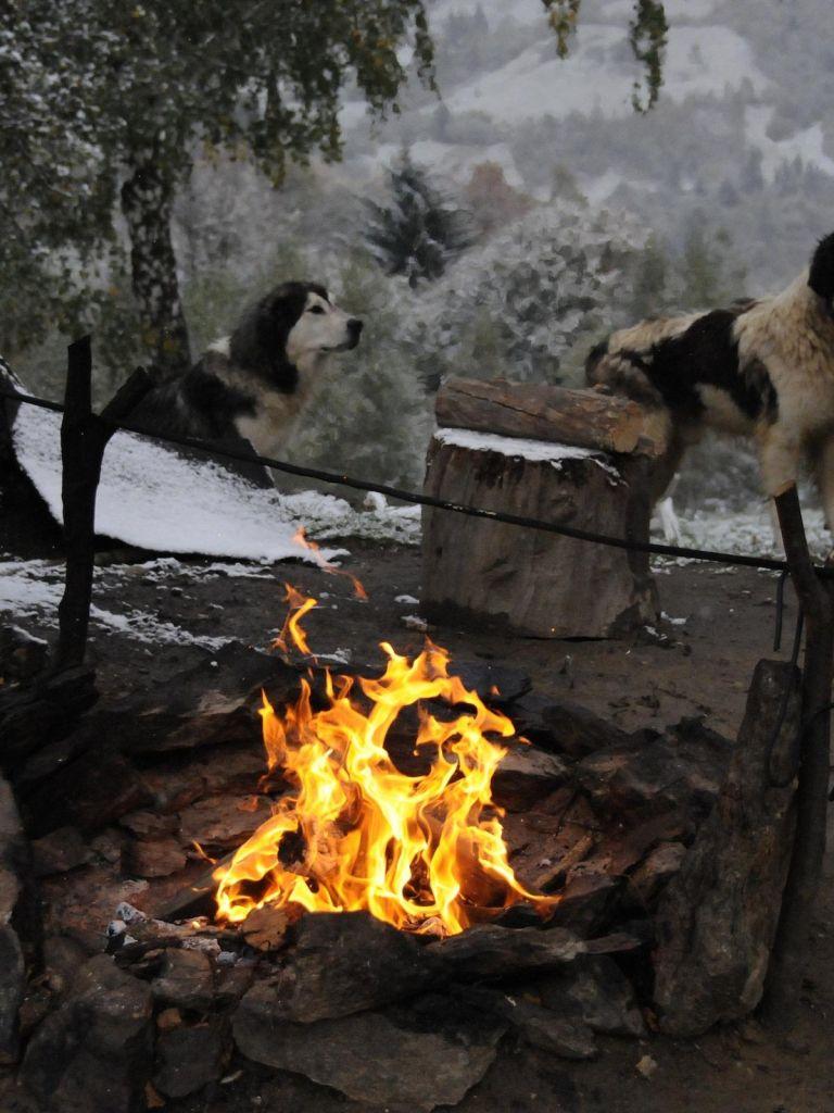 768x1024 Free download Romanian Winter With Camp Fire HD Wallpaper List [2560x1600] for your Desktop, Mobile & Tablet. Explore Funny Camping Wallpaper. Funny Camping Wallpaper, Christmas Camping Wallpaper, Camping Wallpaper