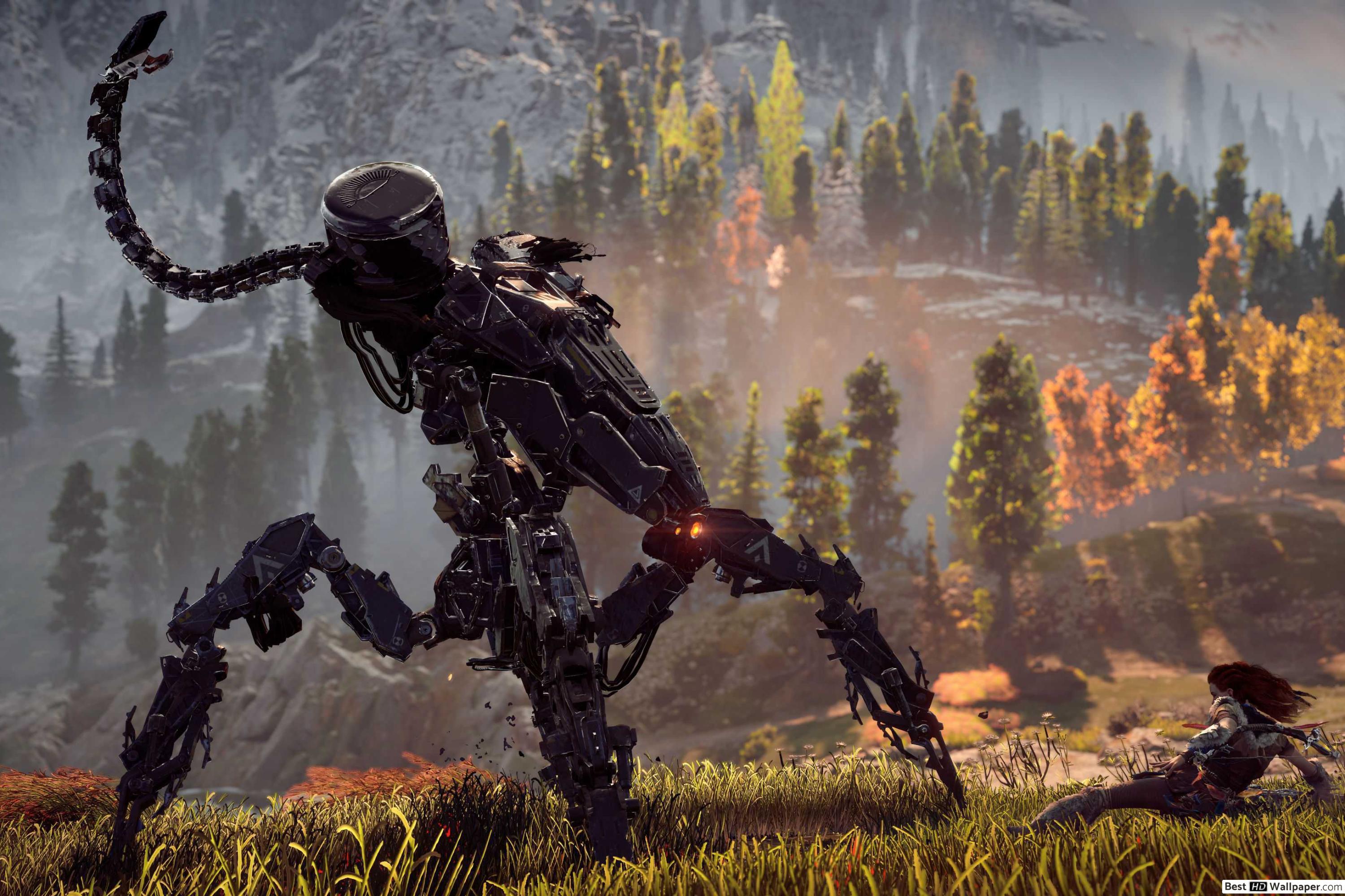 3000x2000 Aloy (horizon zero dawn) HD wallpaper download