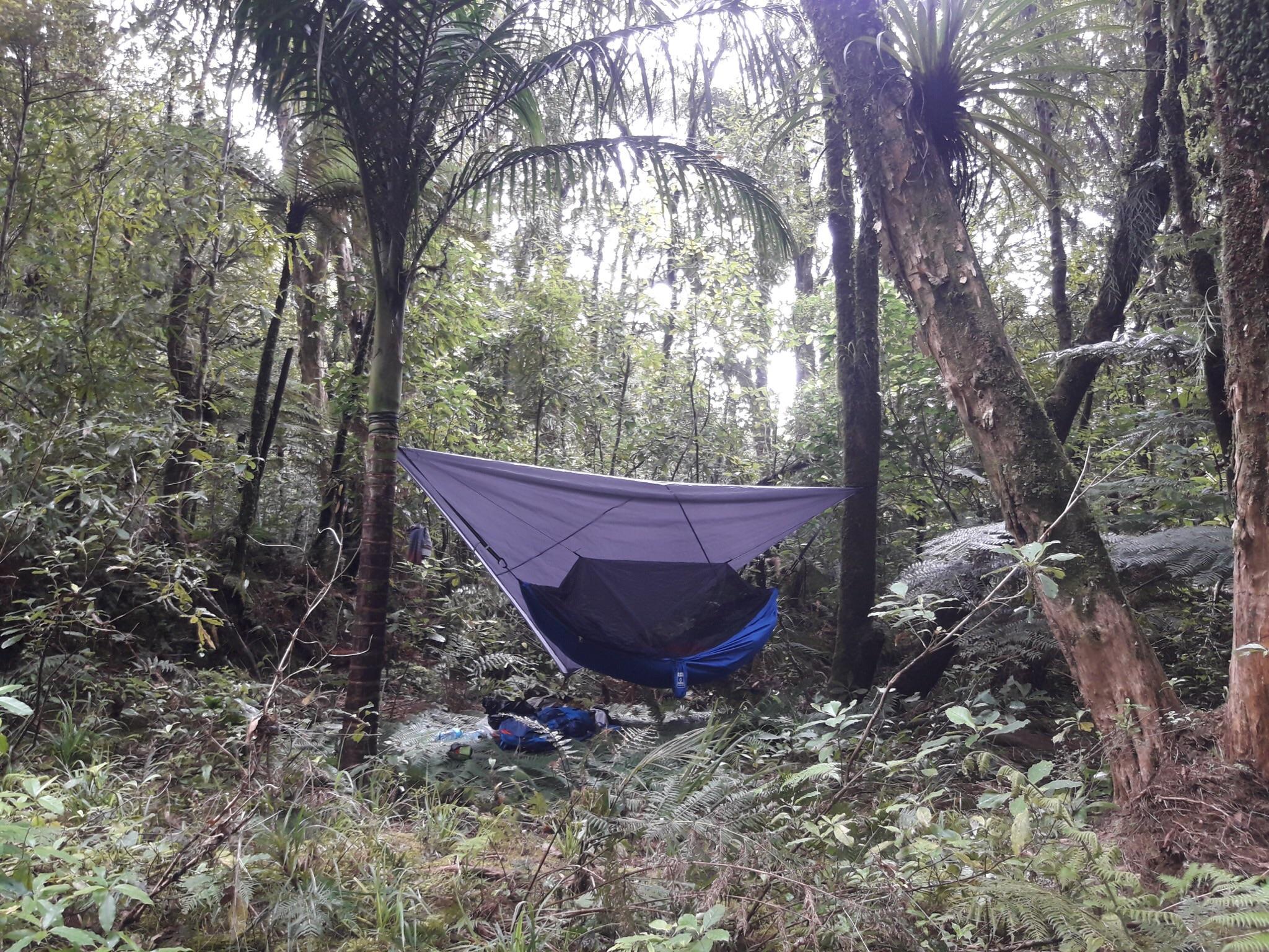 2048x1536 Hammock camping in Far north New Zealand