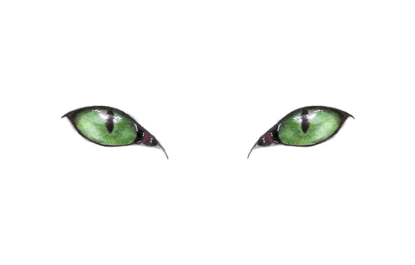 1332x850 Wallpaper green eyes, minimalism, eyes, Cat, artwork, drawing, white background, simple background, pencil drawing image for desktop, section минимализм