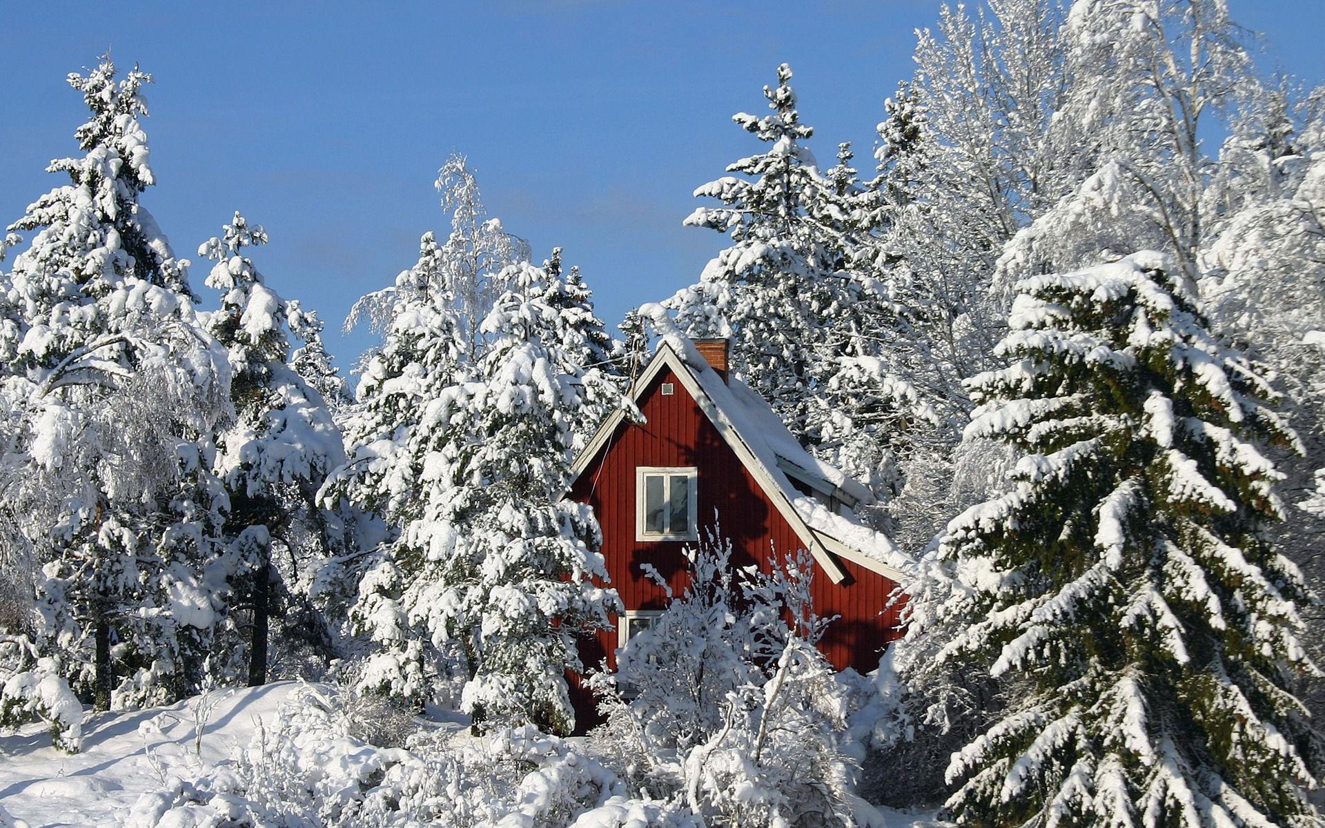1920x1200 Winter in Sweden Wallpaper Winter Nature Wallpaper in jpg format for free download