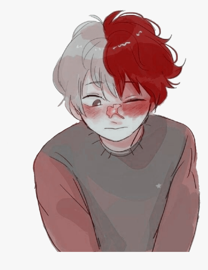 860x1118 bnha #myheroacacademia #bnhashoto #shoto #todoroki Pics Of Todoroki, HD Png Download