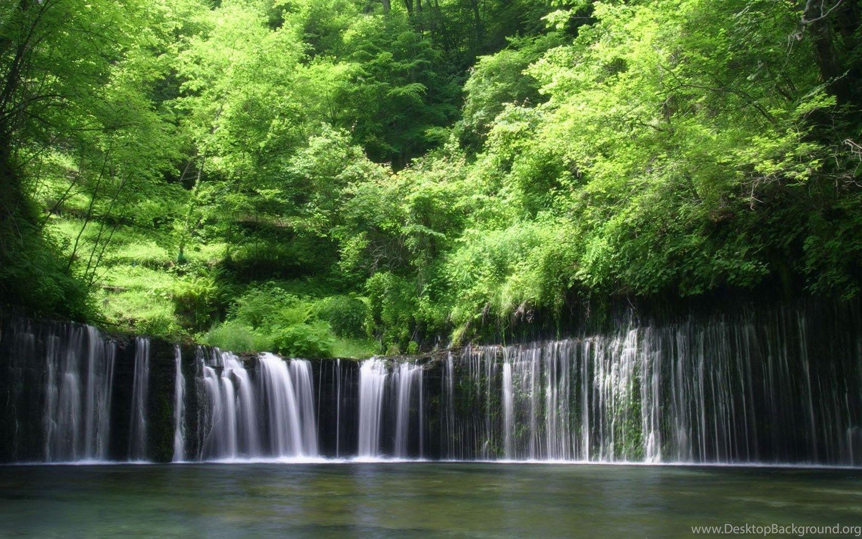 1680x1050 Tropical Rainforest HD Wallpaper HD Wallpaper Background Of. Desktop Background