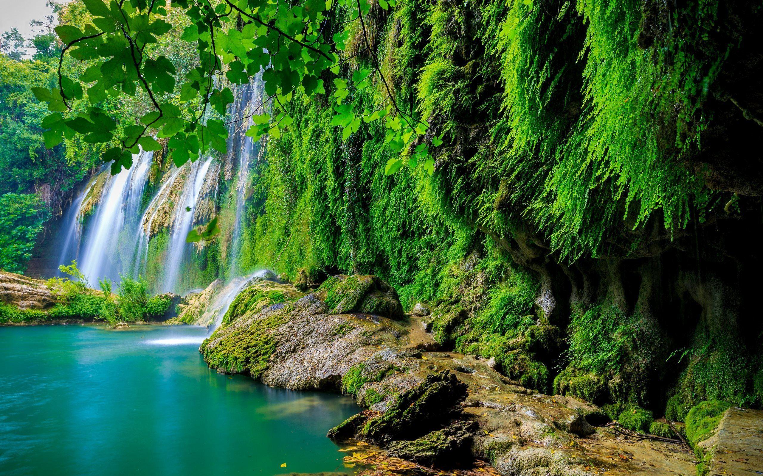 2560x1600 Download wallpaper waterfall, tropical forest, lake, jungle for desktop with resolution 2560x1600. High Quality HD picture wallpaper