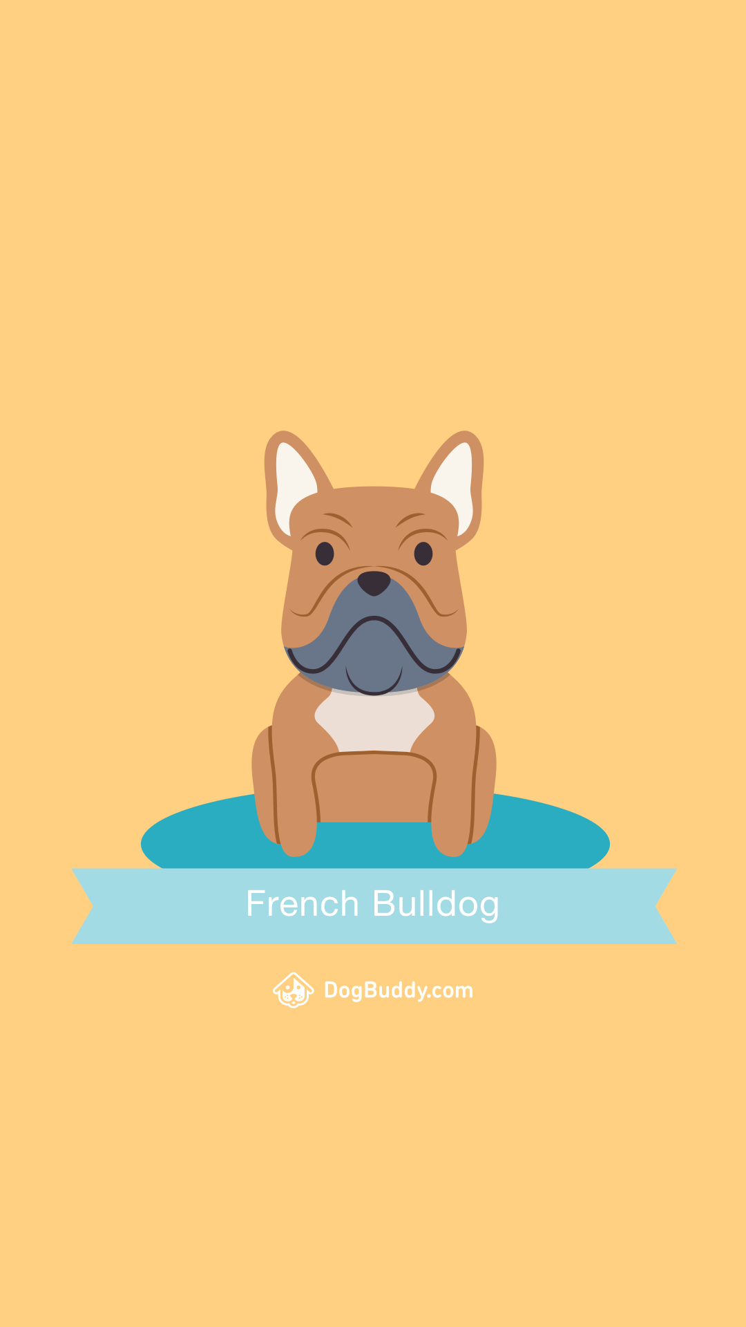 Cartoon Bulldog Wallpapers Top Free Cartoon Bulldog Backgrounds