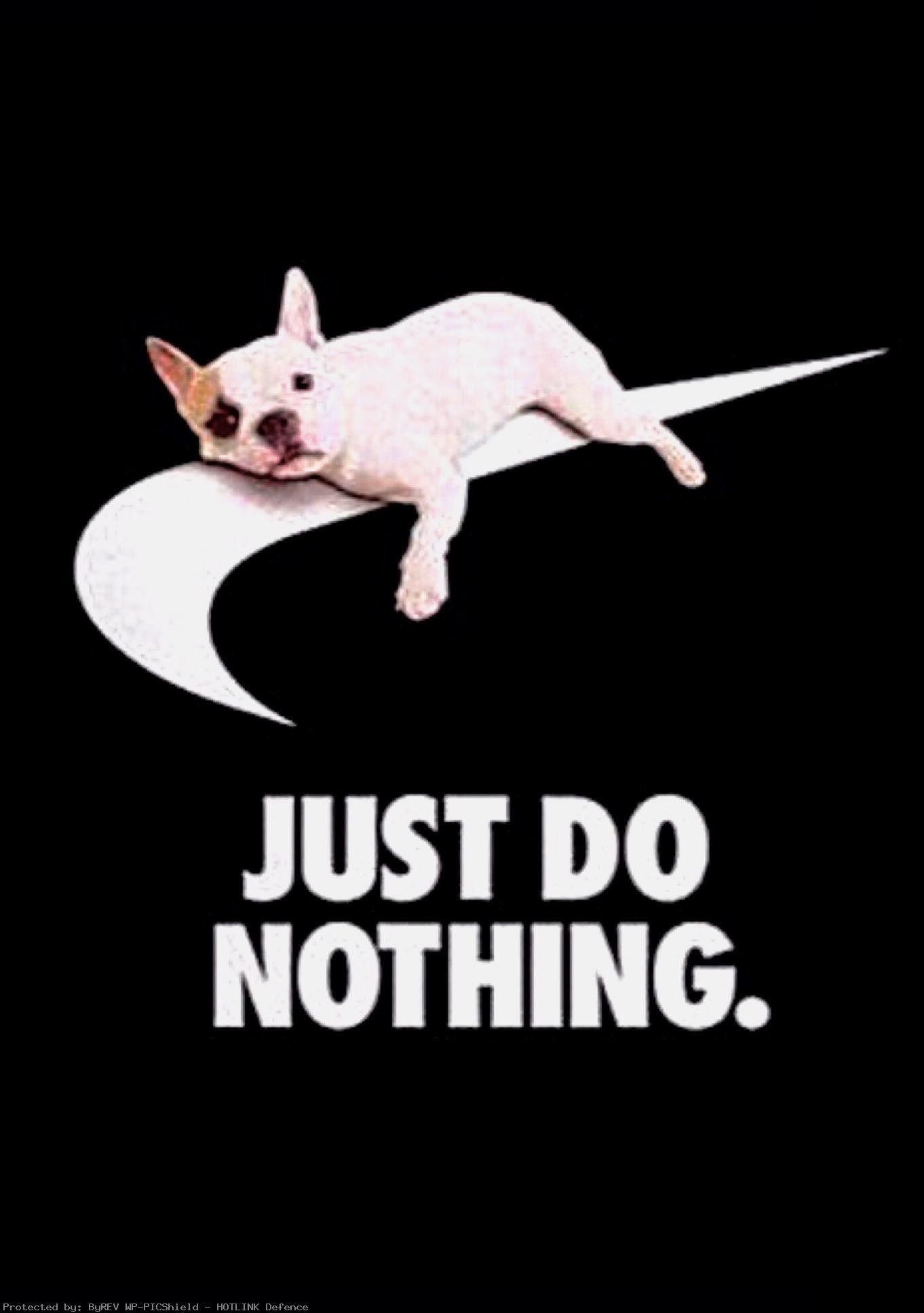 1362x1936 Cute French Bulldog Wallpaper iPhone