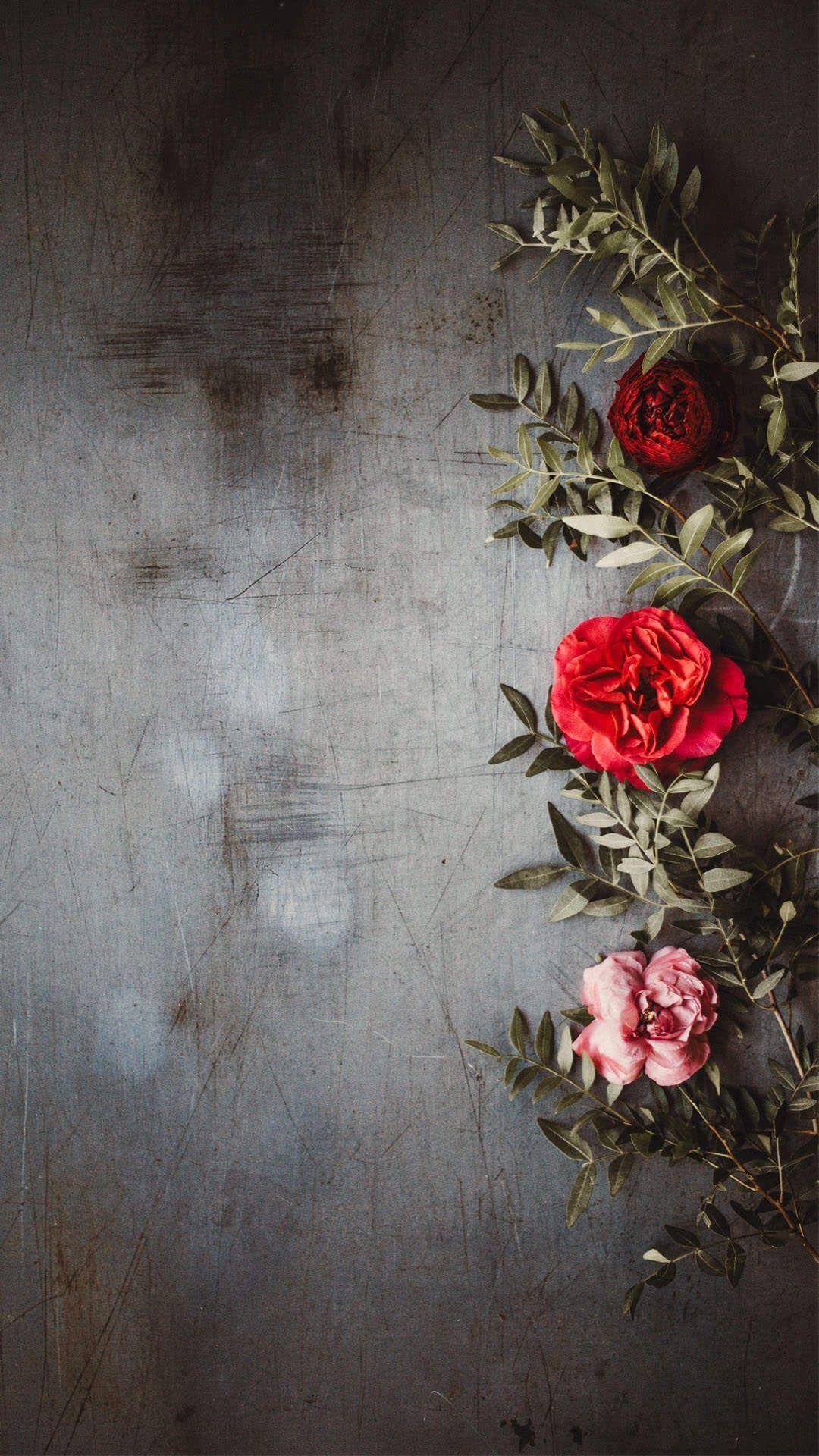 1080x1920 Beautiful Flower Wallpaper For iPhoneD Wallpaper #blueflowerwallpaper Beautiful Flower. Flower iphone wallpaper, Rose flower wallpaper, Blue flower wallpaper