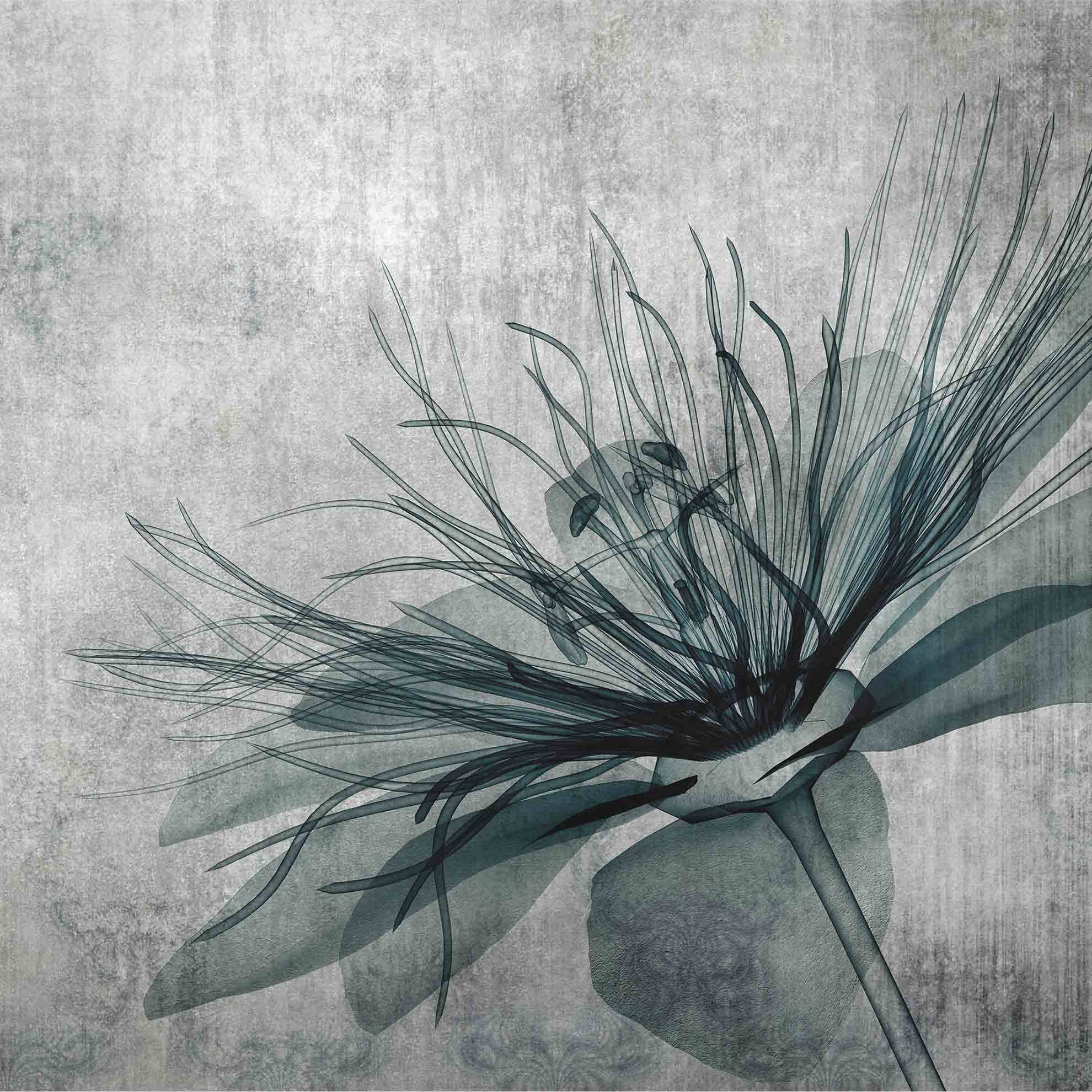 1980x1980 Flower Wallpaper by Affreschi & Affreschi. Designer Italian Wallpaper