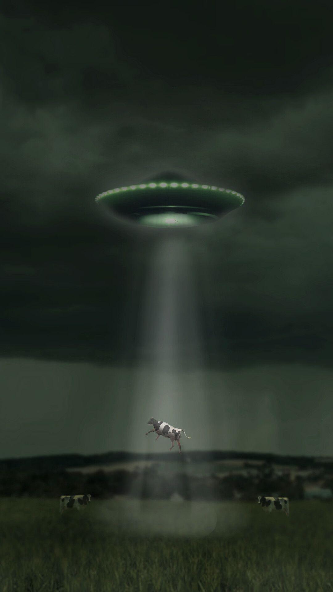 1080x1920 Alien Abduction, Helder Sousa. Alien aesthetic, Alien abduction, Alien art