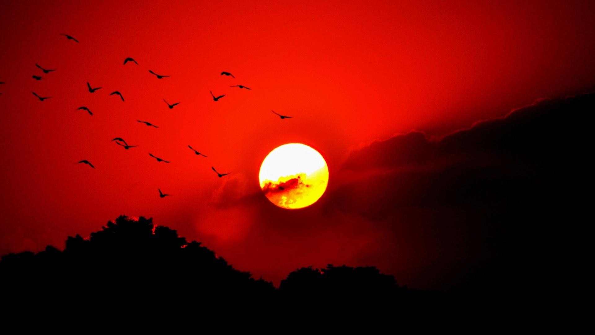 1920x1080 Red Sunset Wallpaper HD