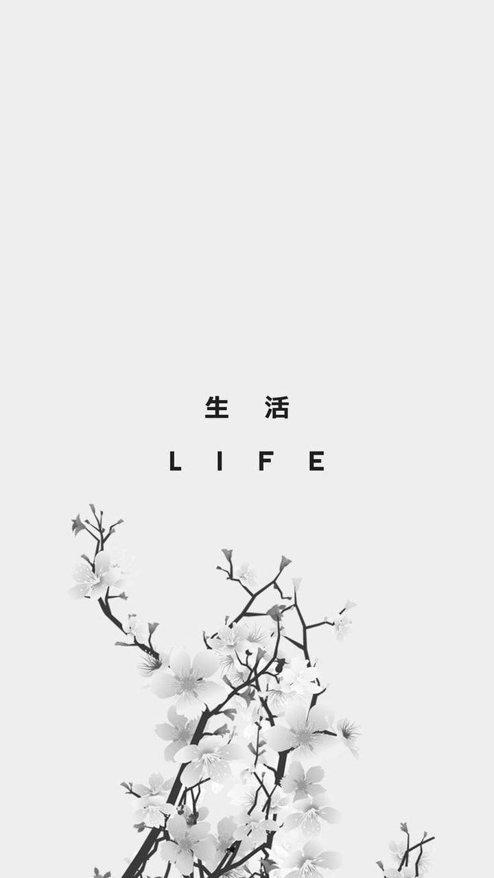 720x1280 Shared by Dánae