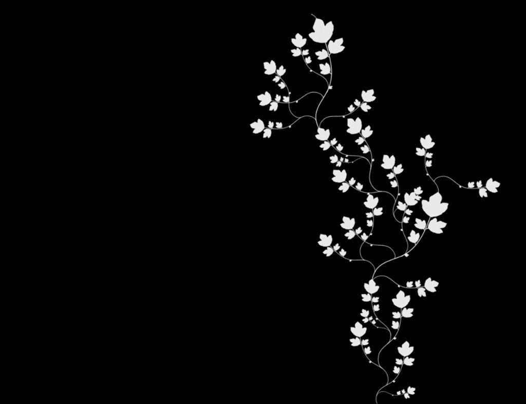 1024x786 Black And White Background Wallpaper (73 Wallpaper)