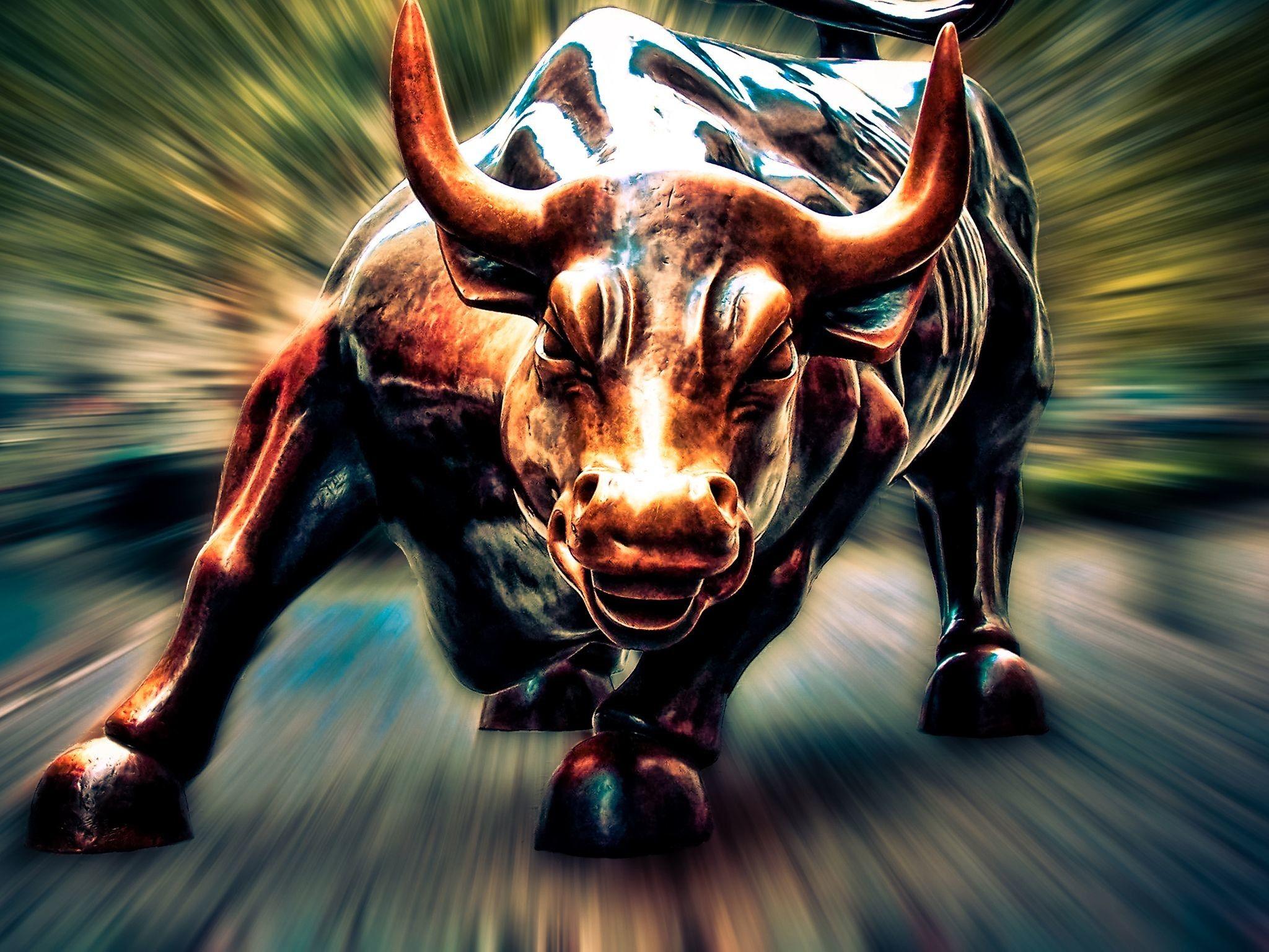 2048x1536 Wall Street Bull Data Src Stock Market HD Wallpaper