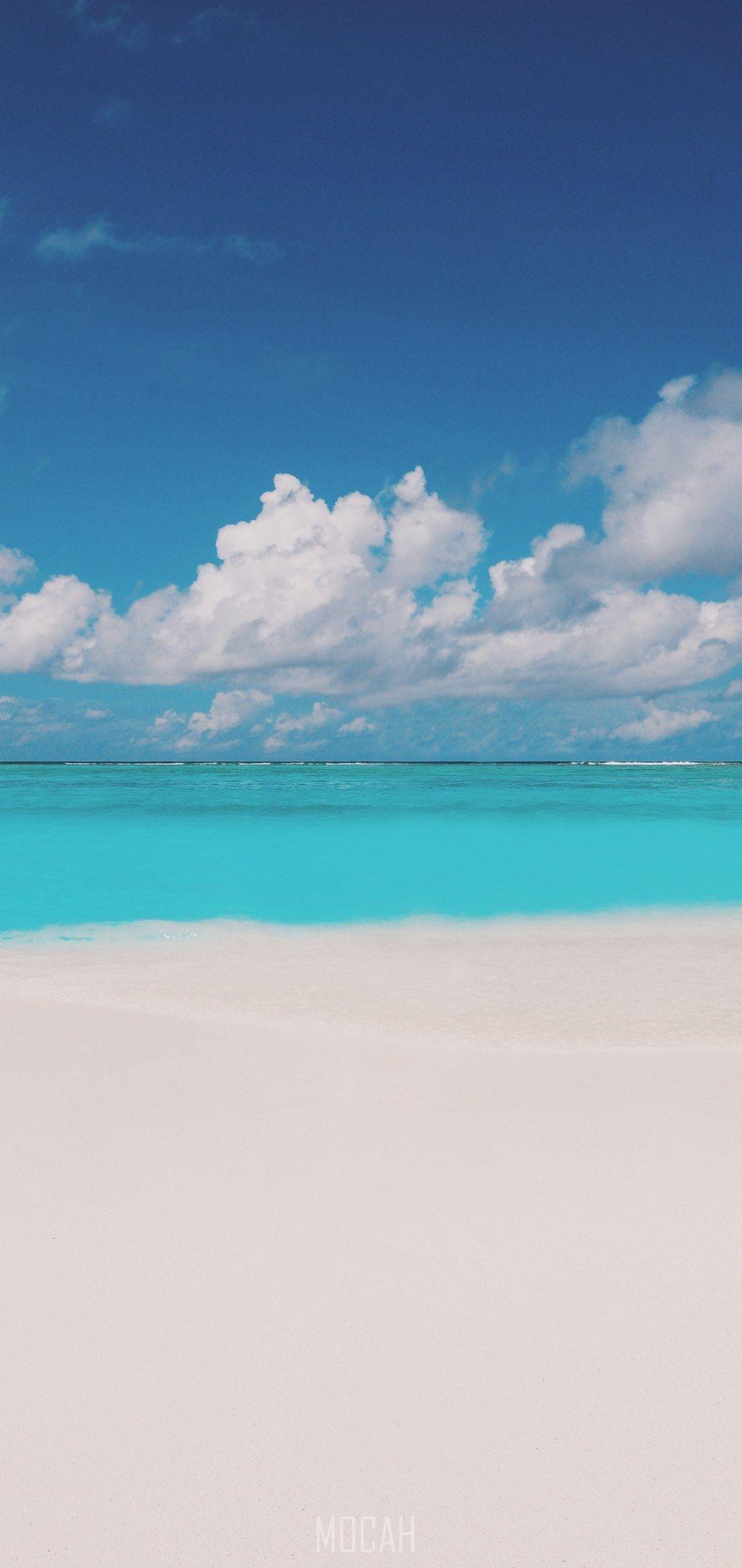 1080x2280 where i belong_, vivo V9 wallpaper hd, 1080x2280. Mocah HD Wallpaper