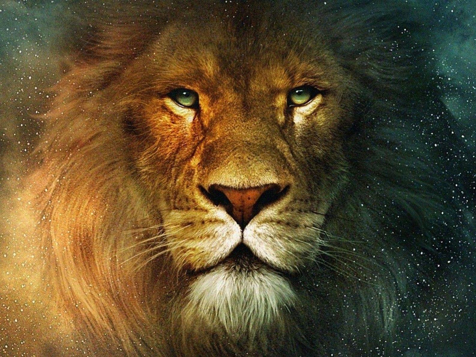 1587x1190 artwork lions 3D chronicles of narnia 1587x1190 wallpaper High Quality Wallpaper, High Definition Wallpaper