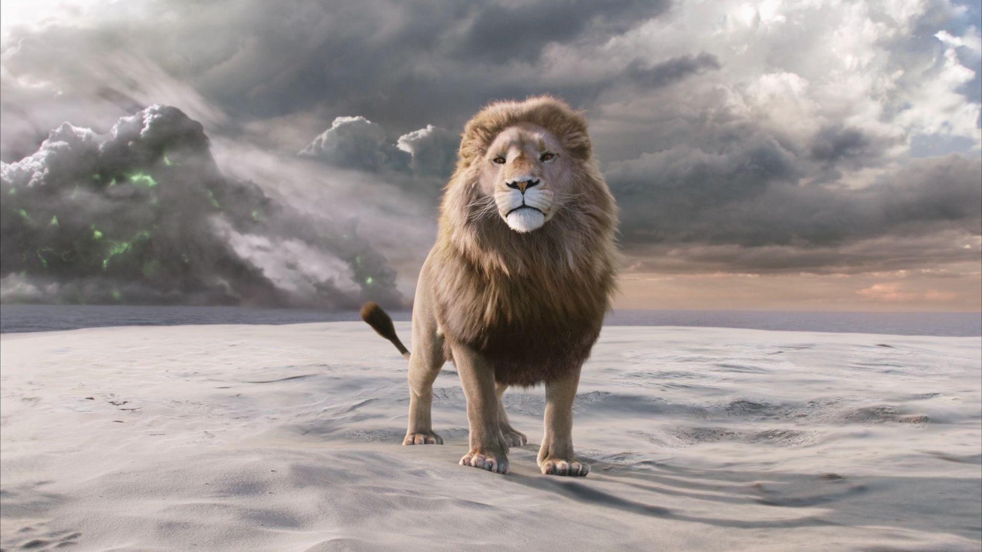 1920x1080 px 1narnia adventure Book chronicles Disney family fantasy lion narnia series