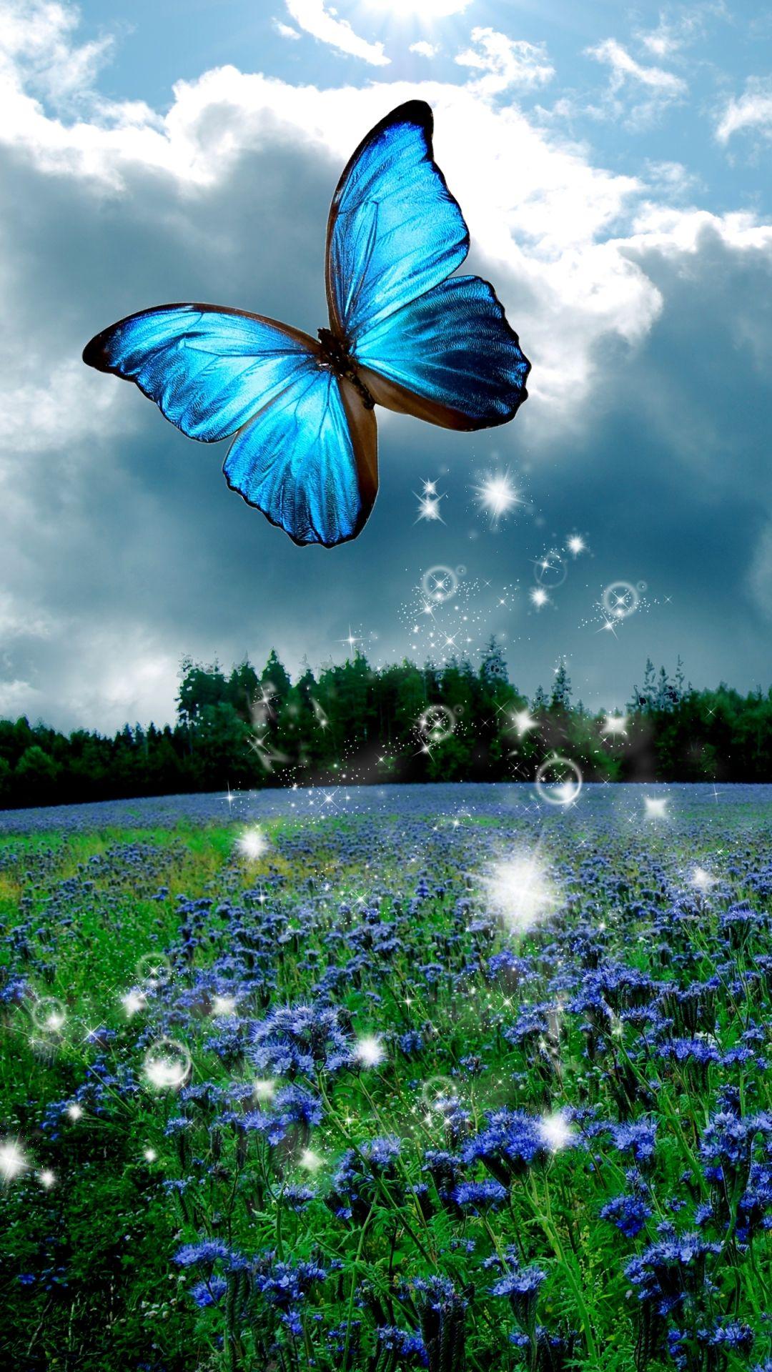 1080x1920 Butterfly Mobile Wallpaper