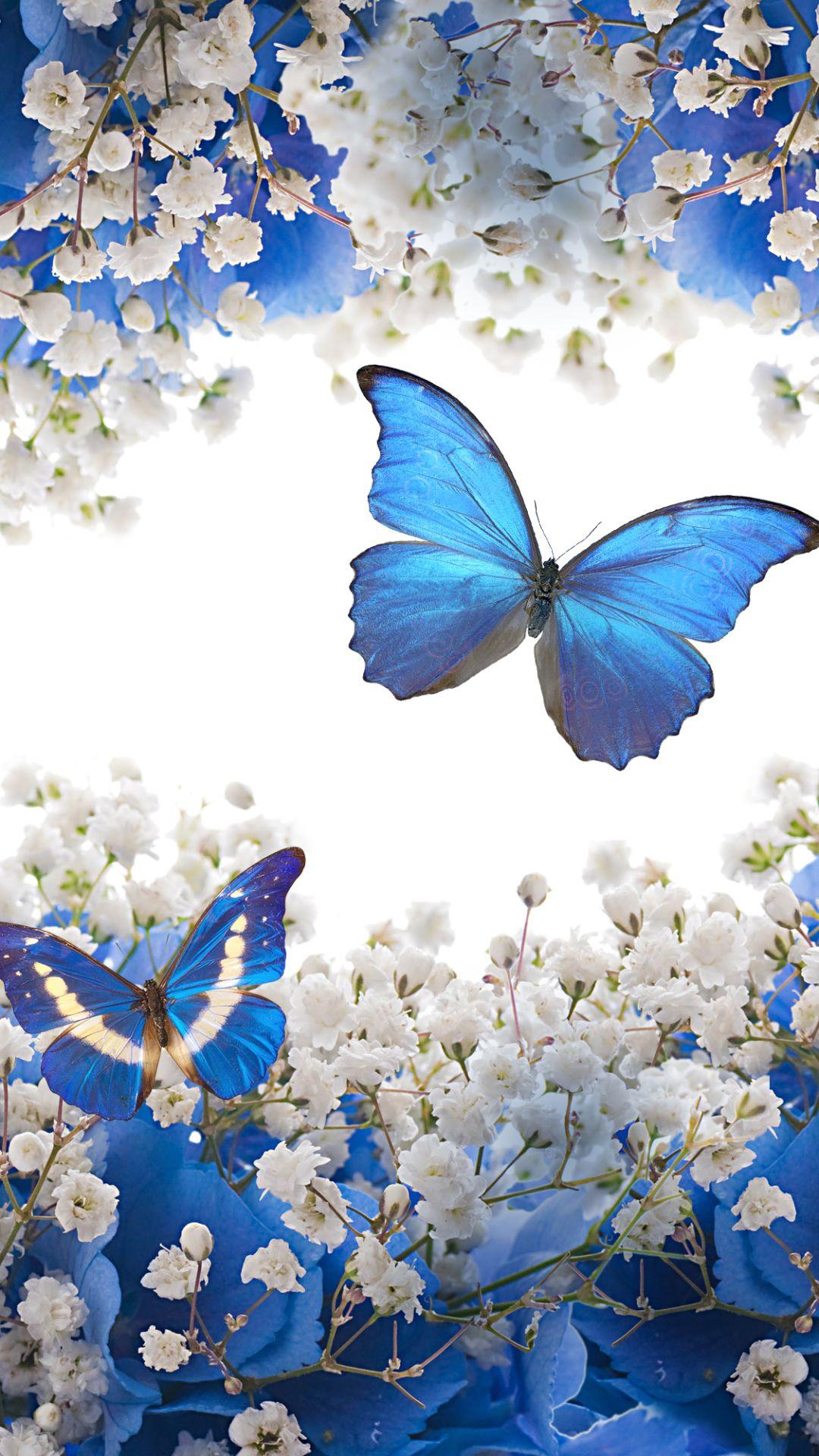 1080x1920 iPhone Blue Butterfly Wallpaper HD