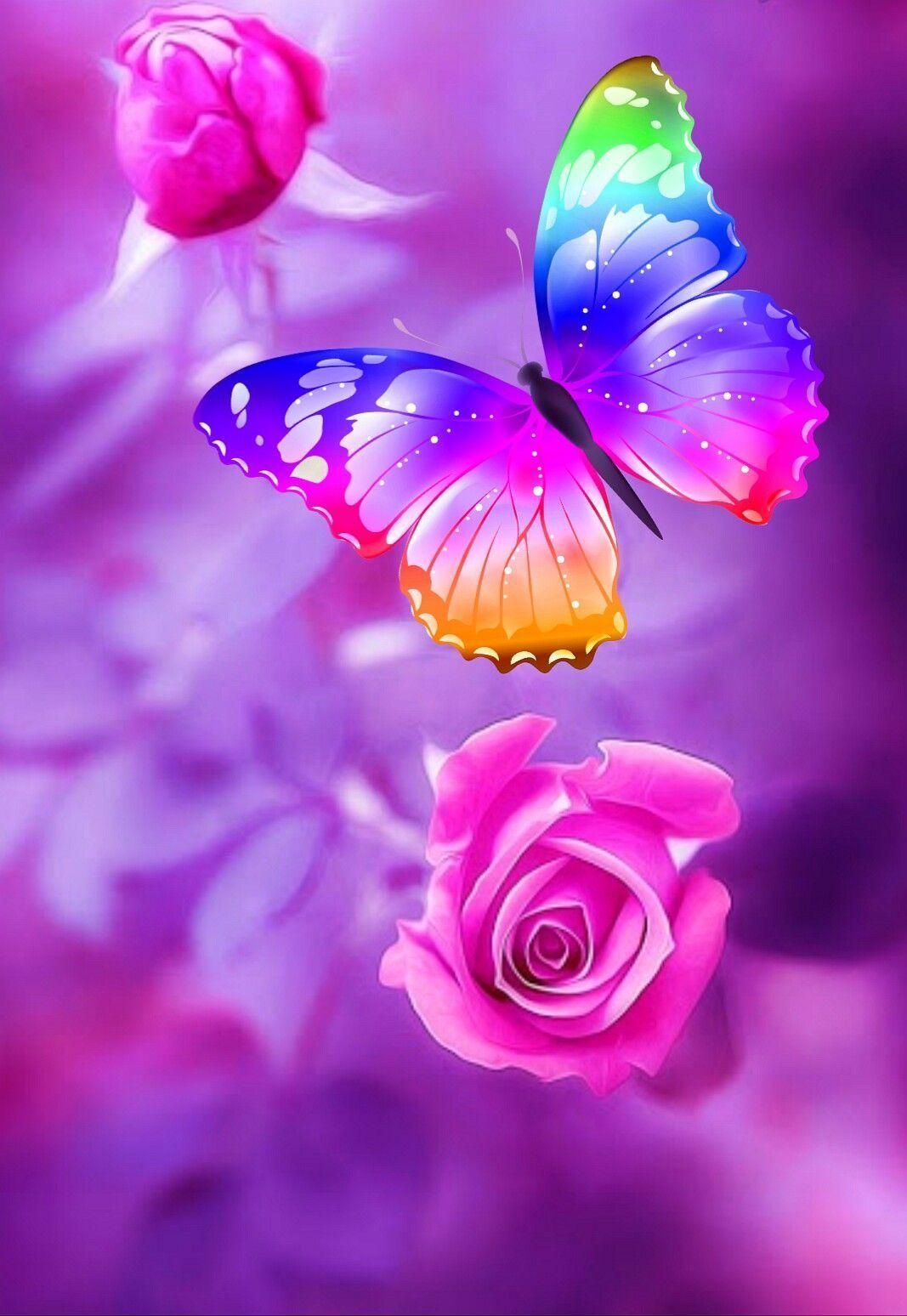 Beautiful Butterfly iPhone Wallpapers - Top Free Beautiful Butterfly