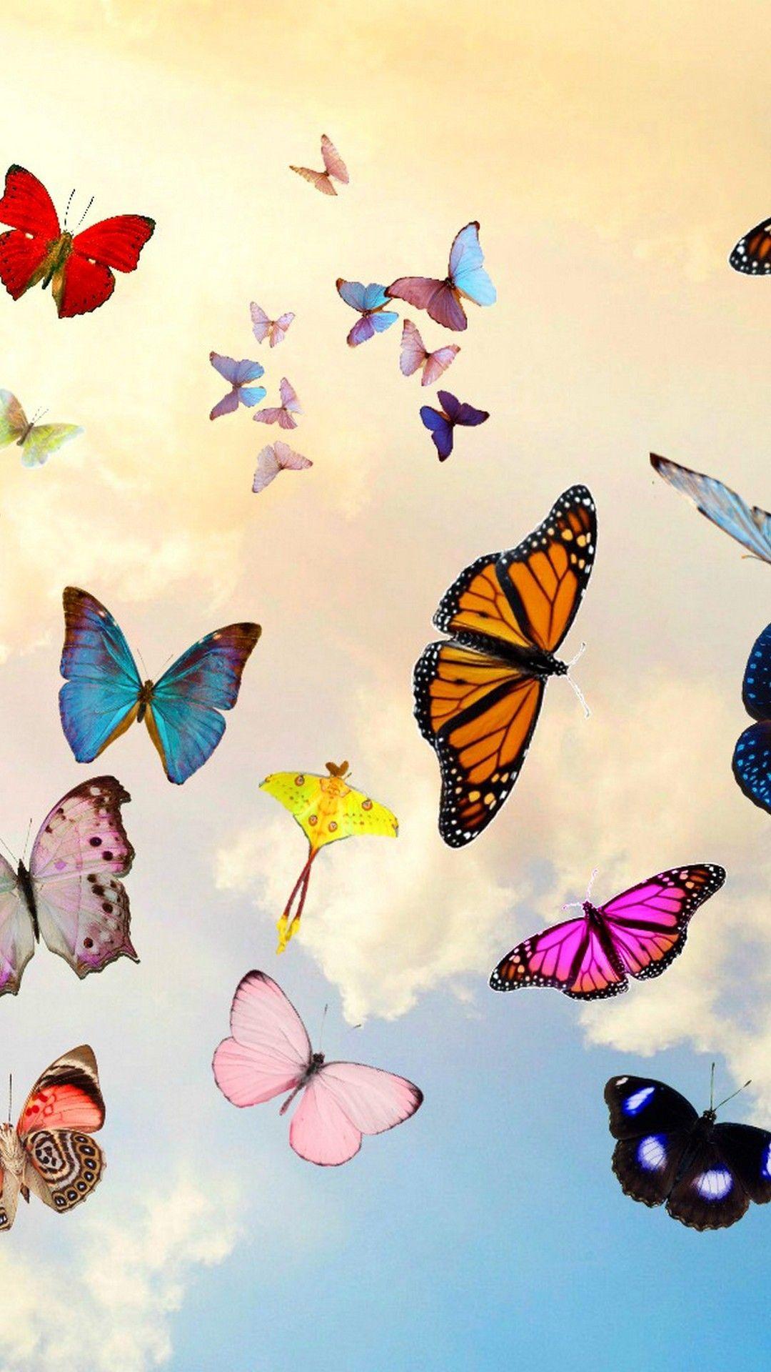 1080x1920 Phone Wallpaper Butterfly HD Wallpaper
