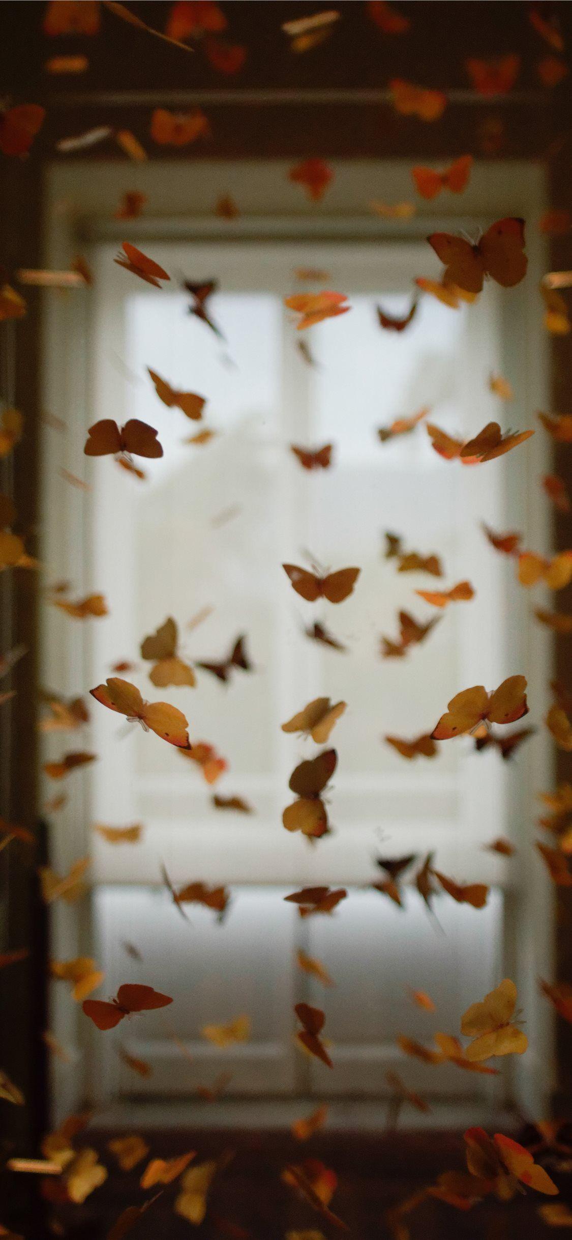 1125x2436 Butterfly Wallpaper iPhone 11
