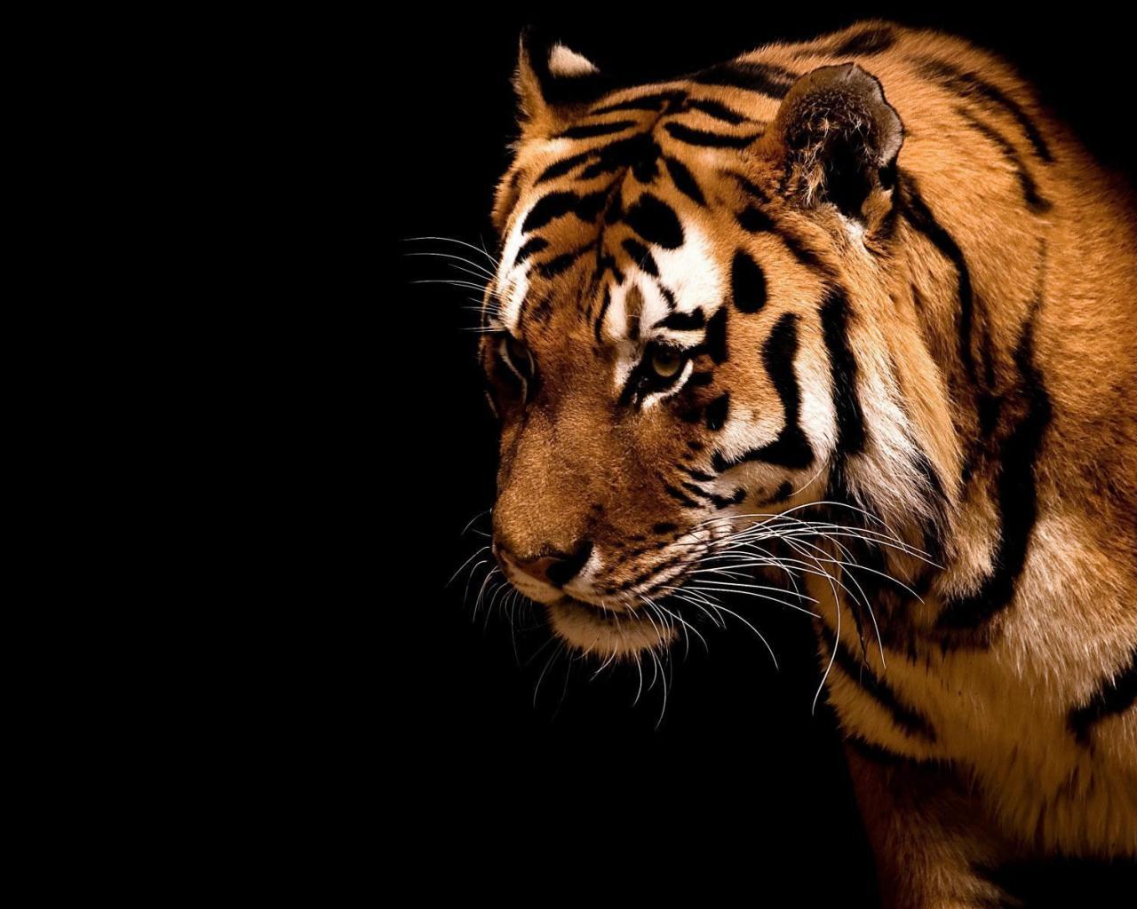 1280x1024 HD Wallpaper
