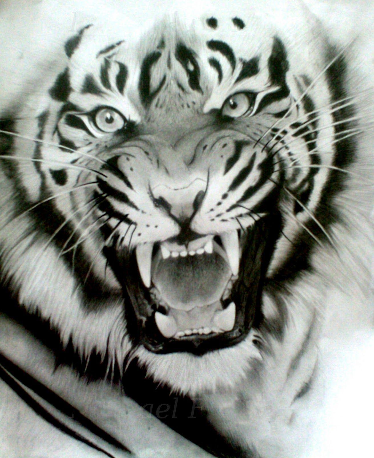 1310x1600 Free download Baby white siberian tiger Nat Geo Adventure [1310x1600] for your Desktop, Mobile & Tablet. Explore White Siberian Tiger Wallpaper. Tiger Desktop Wallpaper Free, Snow Tiger Wallpaper, Tiger