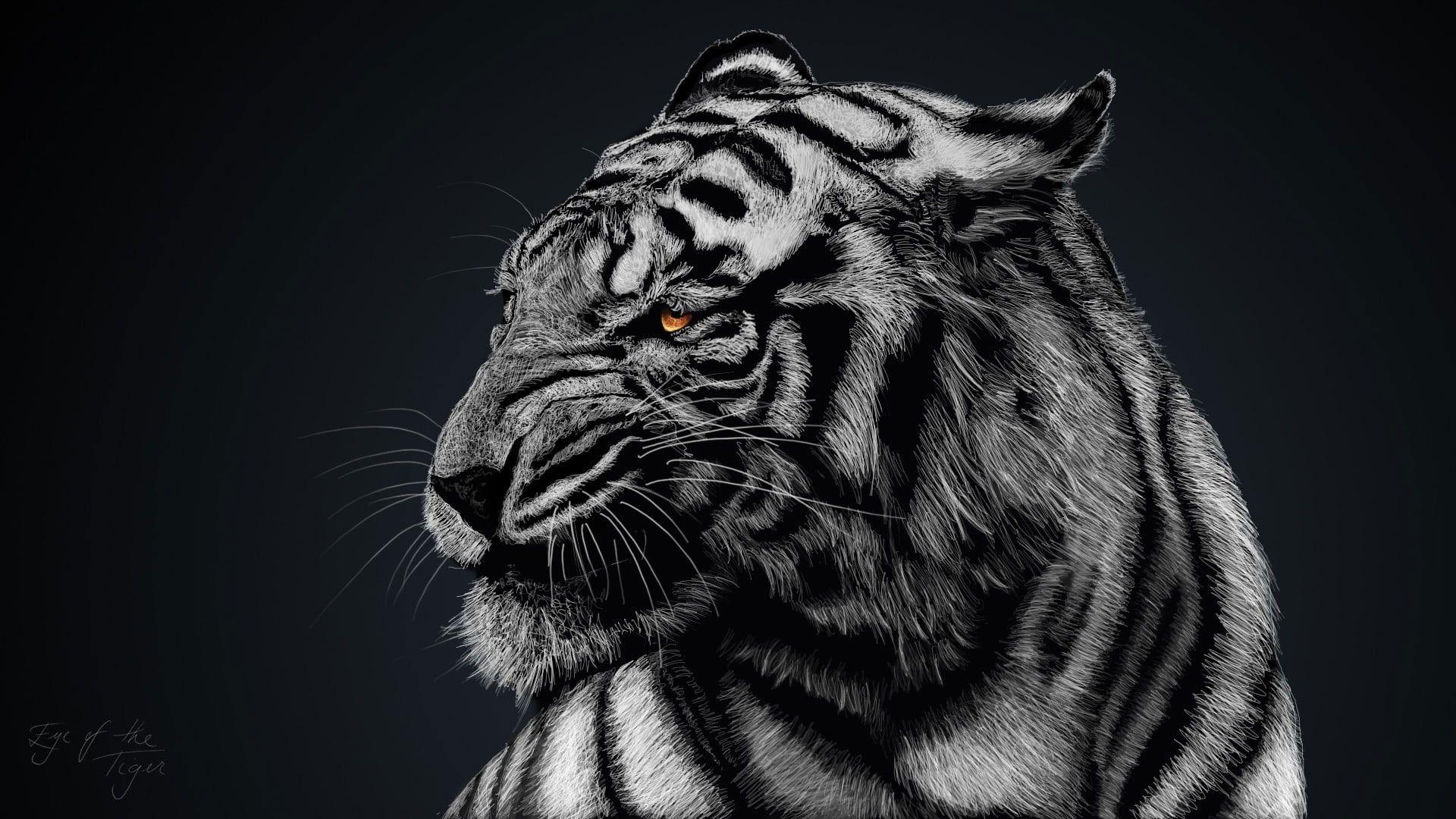 1920x1080 Wallpaper Gray And Black Tiger, Greyscale Photo Of Tiger • Wallpaper For You HD Wallpaper For Desktop & Mobile