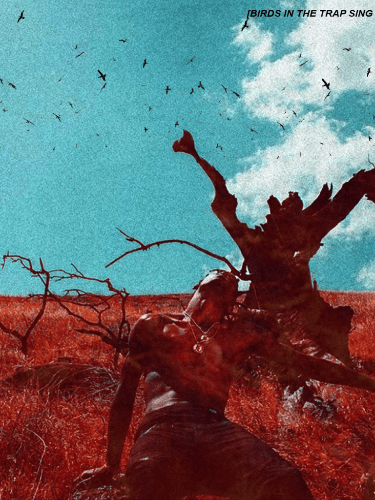 768x1024 Free download Travis Scott Wallpaper Birds In The Trap