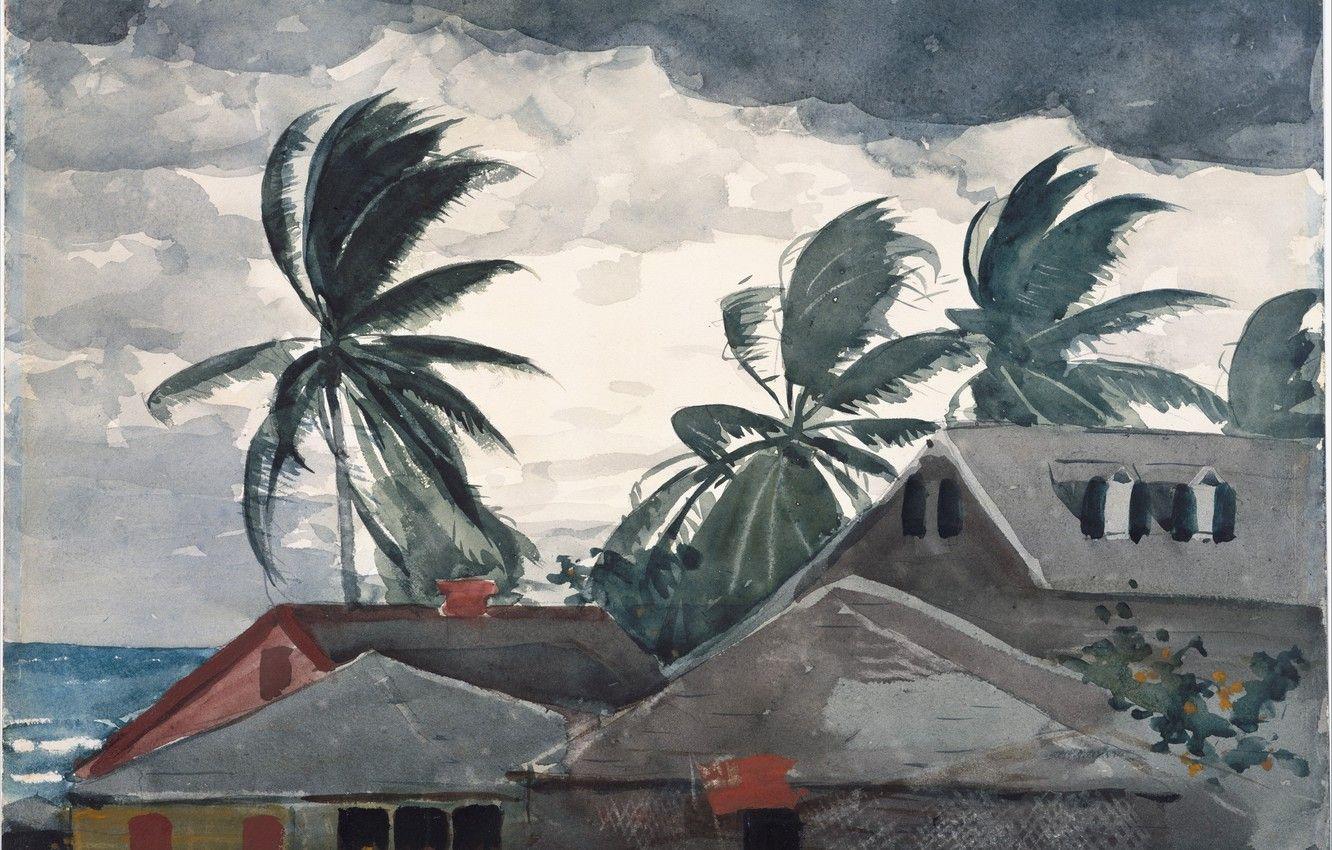 1332x850 Wallpaper water, clouds, storm, palm trees, the ocean, the wind, home, roof, watercolor, bogami, winslow homer image for desktop, section живопись