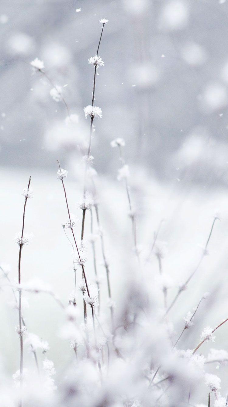 750x1334 Basic Winter Wallpaper